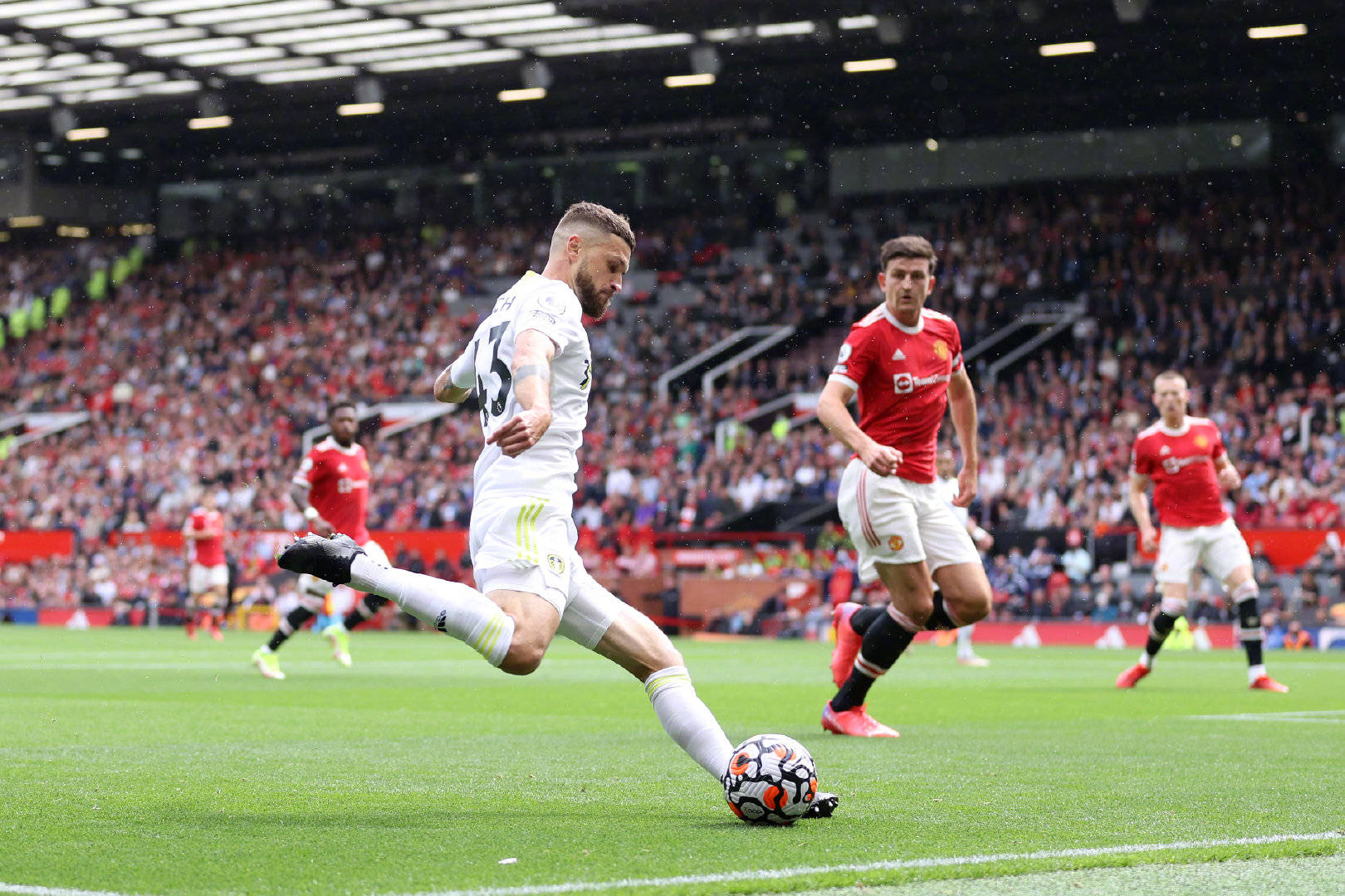 深厚情感 深厚情感